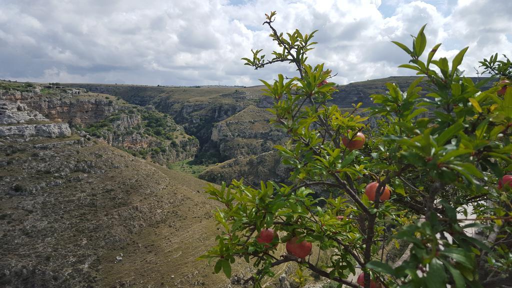 Casa Il Gufo E La Pupa Βίλα Ματέρα Εξωτερικό φωτογραφία